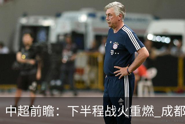 中超前瞻：下半程战火重燃 成都剑指三分申花求反弹