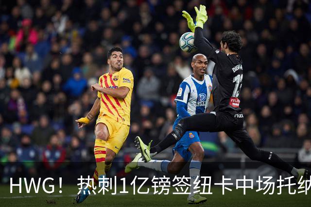 HWG！热刺1亿镑签纽卡中场托纳利 今夏1.85亿镑签2中场